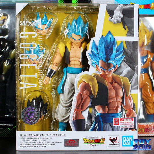 TAMASHII NATIONS - Super Saiyan God Super Saiyan Gogeta, Bandai Figure