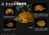 动物星球心宽体胖系列第八弹—龟3 - 多款可选