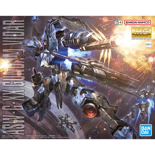 MG - Bandai 1/100 GUNDAM VIDAR