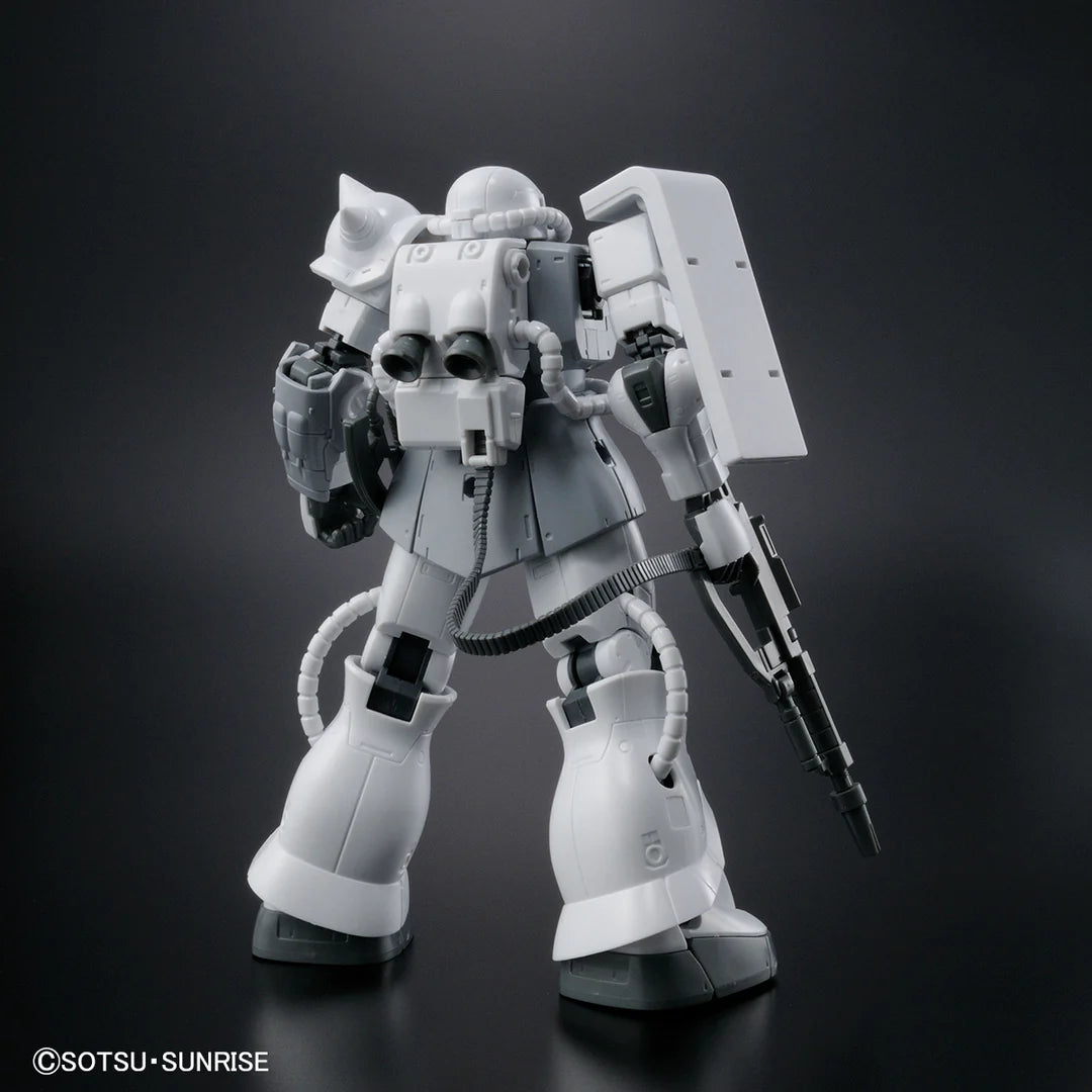 HG Zaku II Type C-6/R6 [Painting Model]