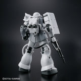 HG Zaku II Type C-6/R6 [Painting Model]