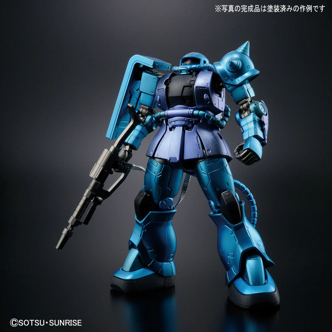 HG Zaku II Type C-6/R6 [Painting Model]