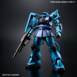 HG Zaku II Type C-6/R6 [Painting Model]