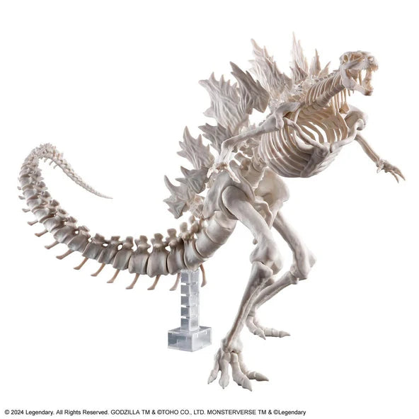 Godzilla (2024) from Godzilla x Kong: The New Empire