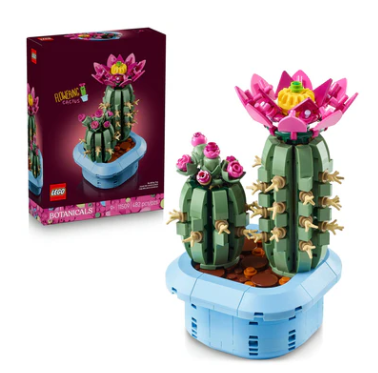 11509 Flowering Cactus