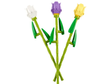 40461 Tulips
