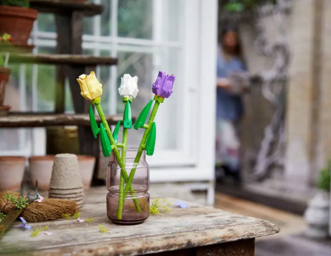 40461 Tulips