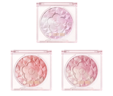 日本Daisy Doll by MARY QUANT限量雏菊娃娃腮红粉-三款可选