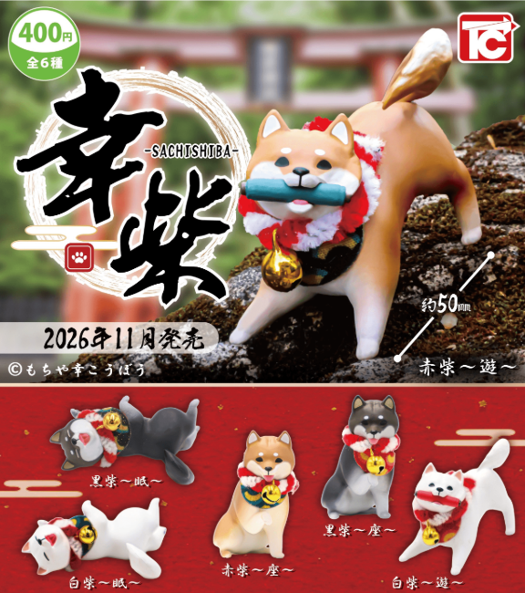 (PRE-ORDER 2027Q1)＜Capsule Toy＞Sachishiba