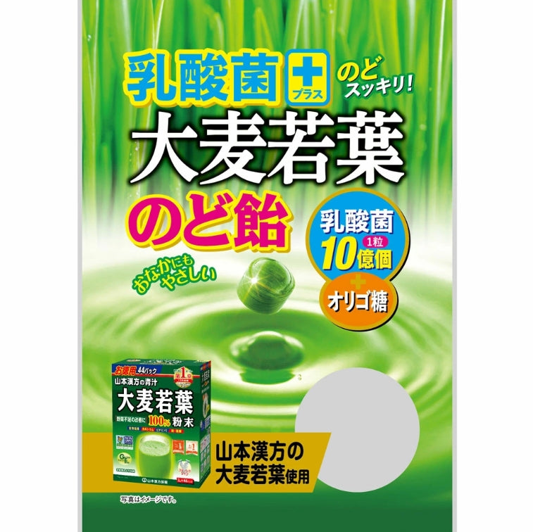 日本大麦若叶加乳酸菌润喉糖-120g