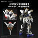 ENTRY GRADE (EG) 1/144 BUILD STRIKE EXCEED GALAXY