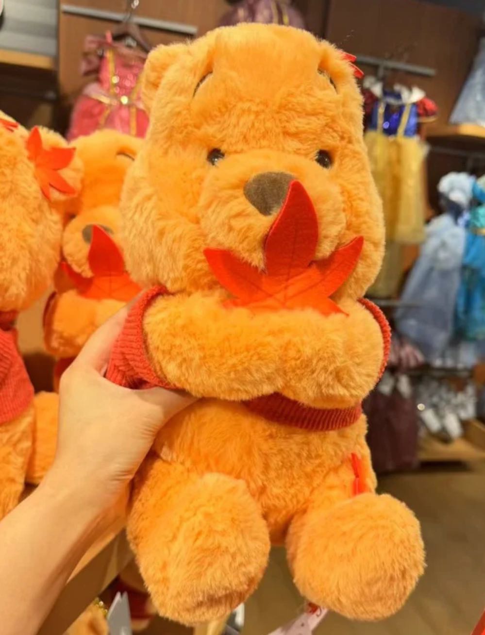 Japan Tokyo Disney Maple Leaf Winnie the Pooh