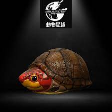 动物星球心宽体胖系列第八弹—龟3 - 多款可选