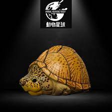 动物星球心宽体胖系列第八弹—龟3 - 多款可选