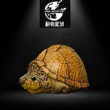 动物星球心宽体胖系列第八弹—龟3 - 多款可选