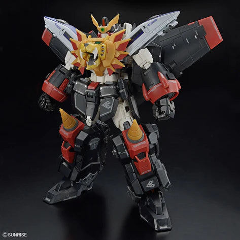 RG GAOGAIGAR