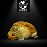 动物星球心宽体胖系列第八弹—龟3 - 多款可选