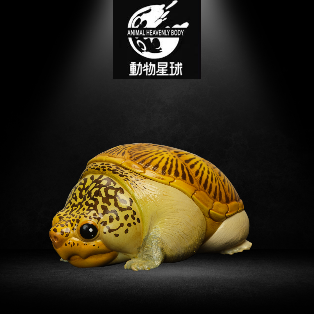 动物星球心宽体胖系列第八弹—龟3 - 多款可选