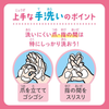 日本Biore限定星之卡比泡沫洗手液-两款可选-240ml