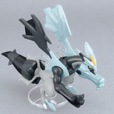 Pokémon Model Kit BLACK KYUREM