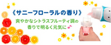日本LION 狮王SUNNY RAINBOW除味洗衣液 (室內室外适用) 425g