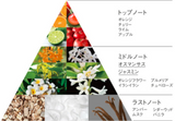 日本POLA贵族桂花味沐浴露