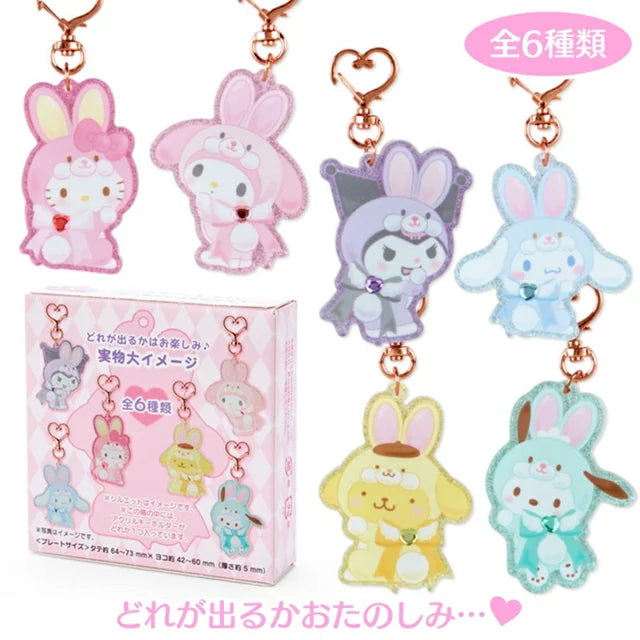 Japan SANRIO Sanrio Blind Box