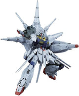 MG - Bandai - 1/100 ZGMF-X13A PROVIDENCE GUNDAM