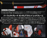 PG Astray Red Frame 1/60 
