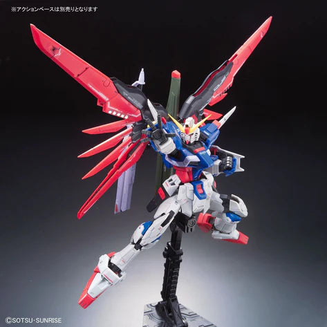 RG - Bandai - #11 DESTINY GUNDAM