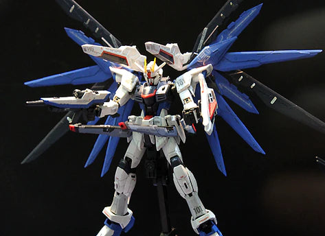 REAL GRADE (RG) 1/144 ZGMF-X10A FREEDOM GUNDAM