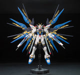 RG - Bandai - ZGMF-X20A STRIKE FREEDOM GUNDAM