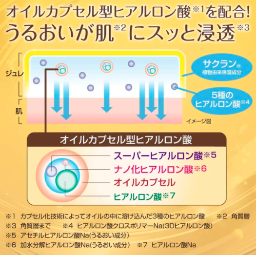 Japan ROHTO HADA LABO Moisturizing Concentrated Lotion 