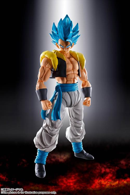 TAMASHII NATIONS - Super Saiyan God Super Saiyan Gogeta, Bandai Figure